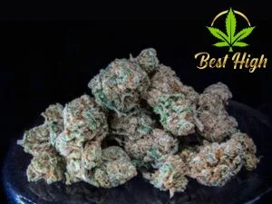 Marijuana flower on a plate