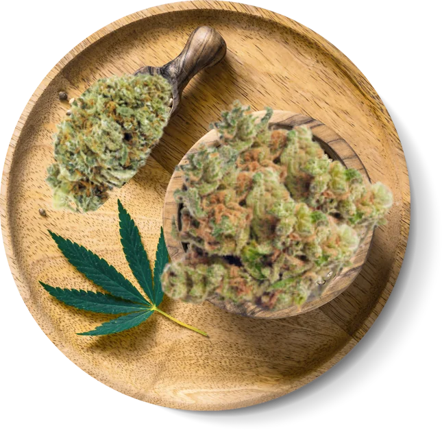 Best High Dispensary Denver products near me