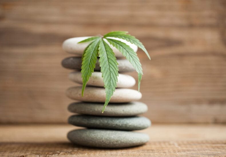 Marijuana leaf on a stack of stones