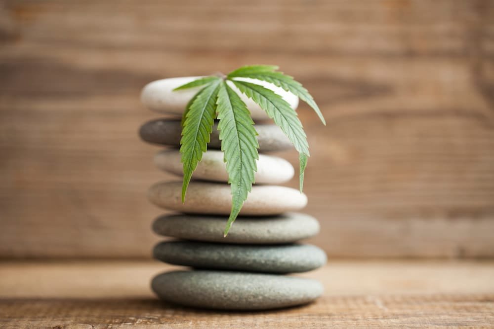 Marijuana leaf on a stack of stones