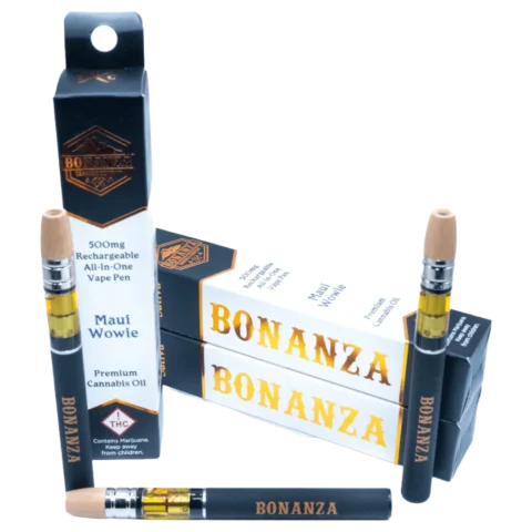 500mg Disposables 2 for $36